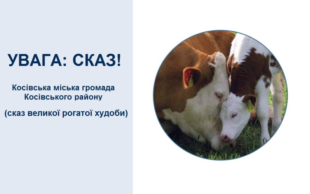 Через сказ худоби у фермерському господарстві Косівської громади запровадили карантин 1