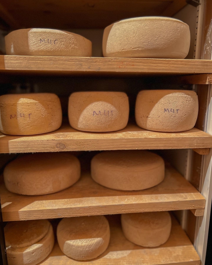 Родина на Косівщині заснувала бренд крафтового сиру 3