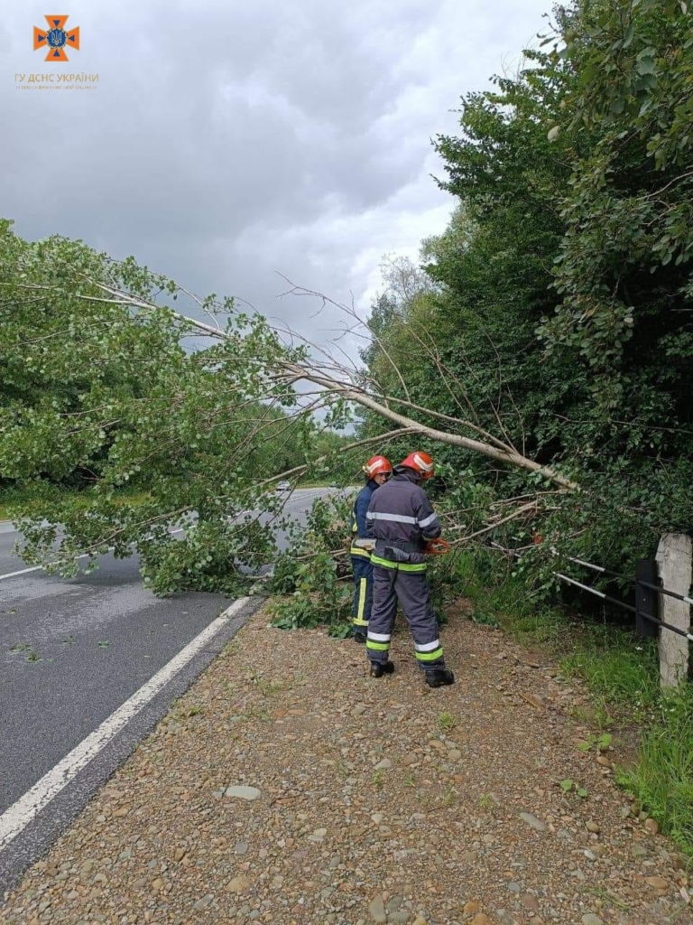 У Франківську та Городенці після вчорашнього буревію рятувальники прибирали дерева, відкачували воду 1