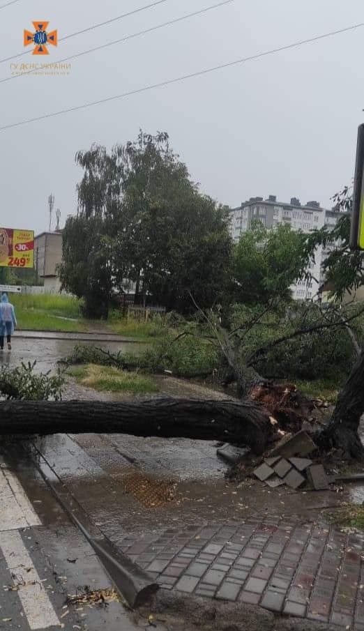 У Франківську та Городенці після вчорашнього буревію рятувальники прибирали дерева, відкачували воду 2