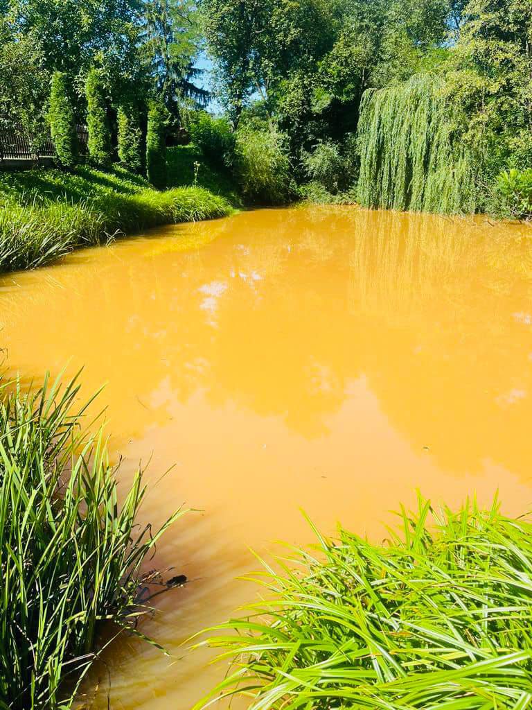 На Коломийщині річка стала жовтою і запахла ацетоном: поліція почала розслідування 1