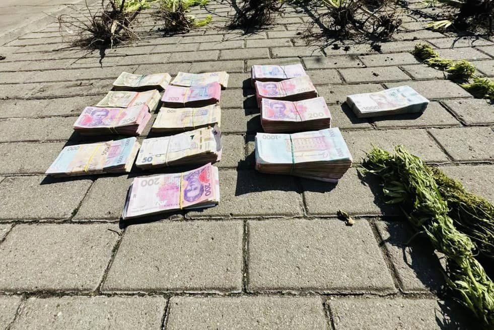 На Прикарпатті у наркоторговців вилучили 10 кг наркотиків та 900 тисяч гривень 2