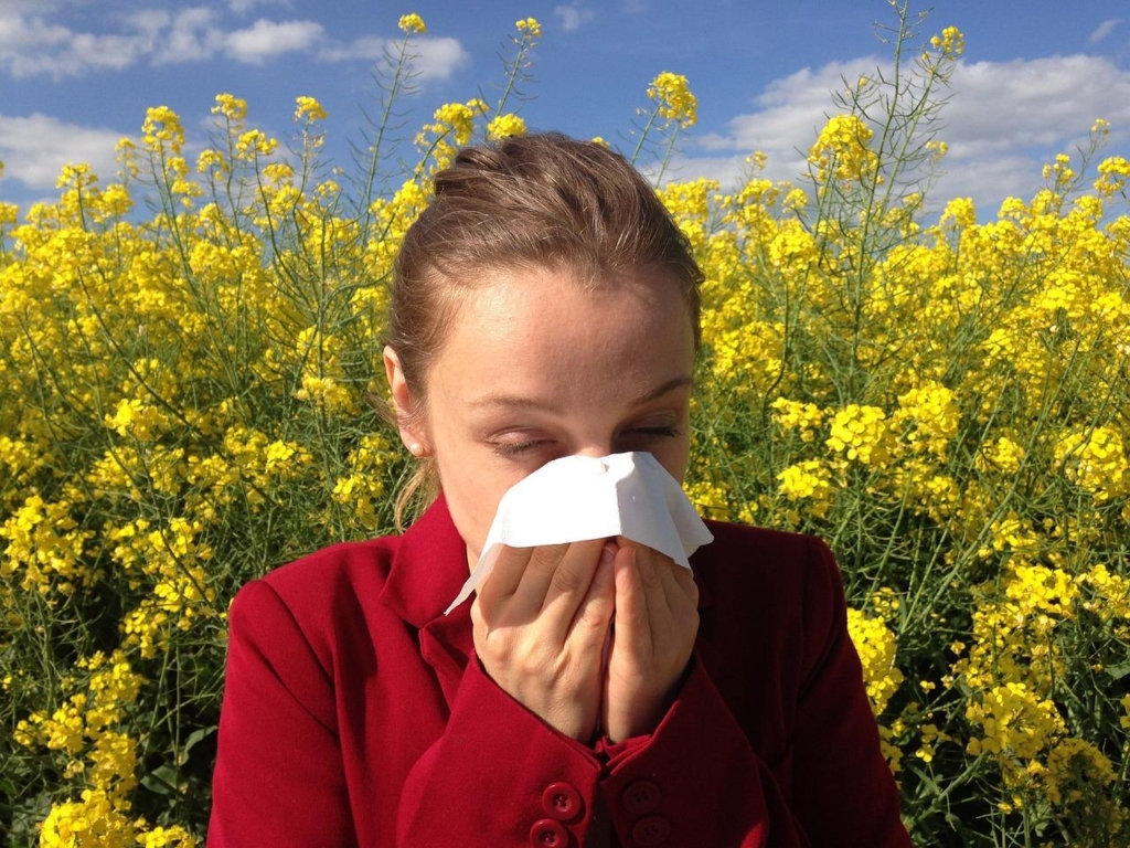 Що таке алергія і як її подолати