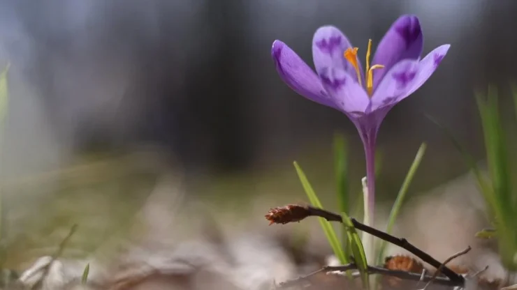 Терапія мистецтвом та дрібка магії: куди піти у Франківську 14-15 березня