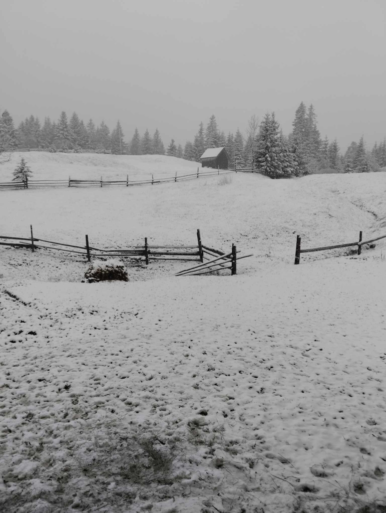 На Верховинщині 17 квітня випав сніг