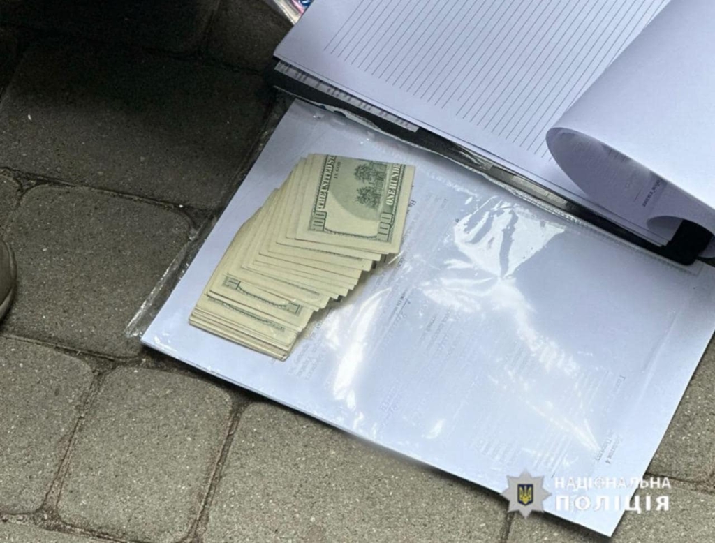 Поліцейські Прикарпаття викрили адвокатку, яка допомагала отримати "відстрочку" 1