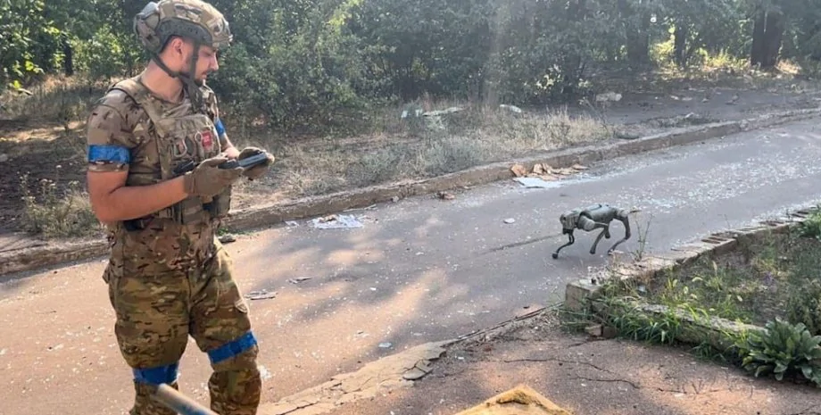 Розвідують і знаходять міни: ЗСУ ввели в бій на Донеччині понад 30 собак-роботів 1