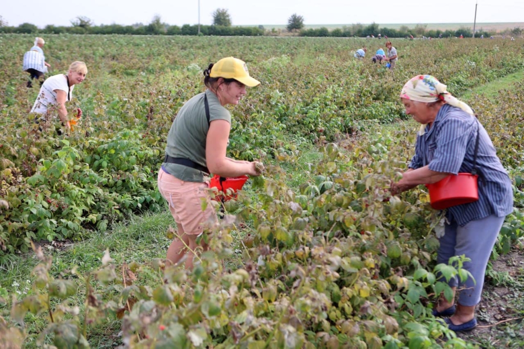 Менеджери з експорту вивчали успішні практики прикарпатських підприємств-експортерів 3