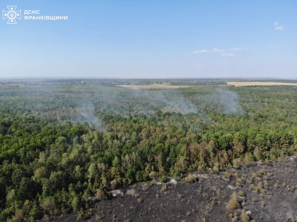 Чотири години гасили пожежу в Отинійському лісництві 1