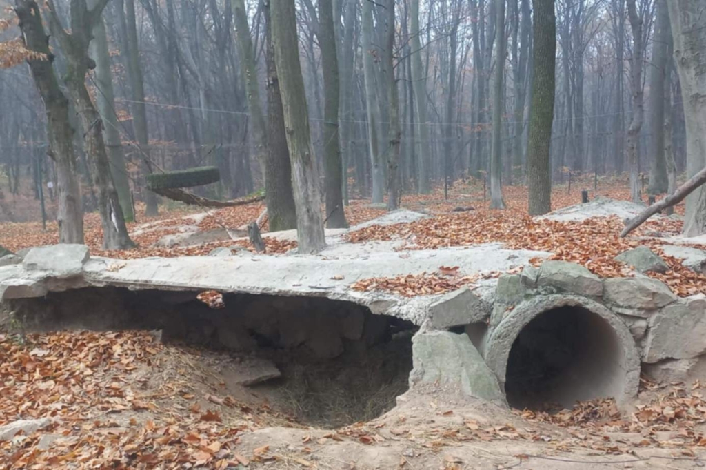 Галицький нацпарк показав ведмедів, які залягли у сплячку. ФОТО 2