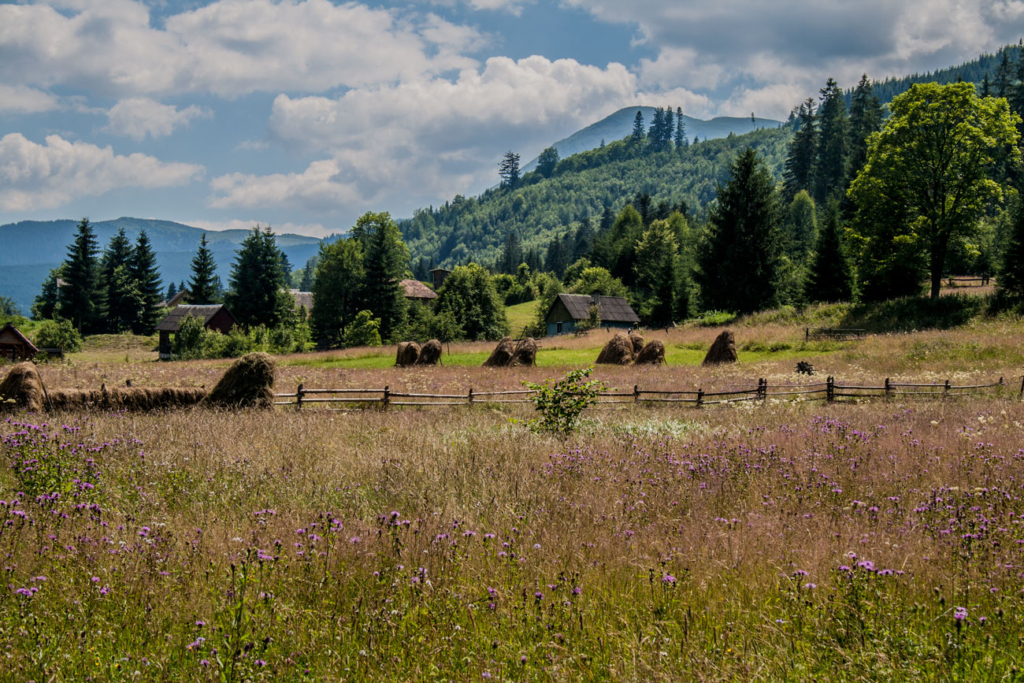 Карпати літо