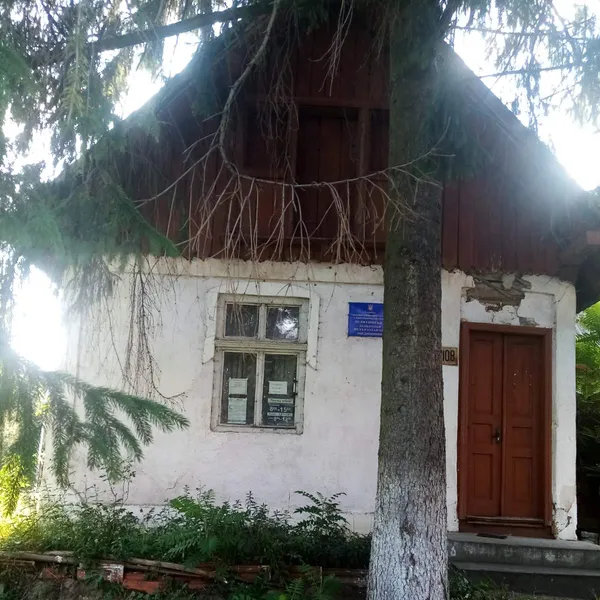 У Делятині приміщення колишньої ветклініки виставили на аукціон зі стартовою ціною 1 грн 1