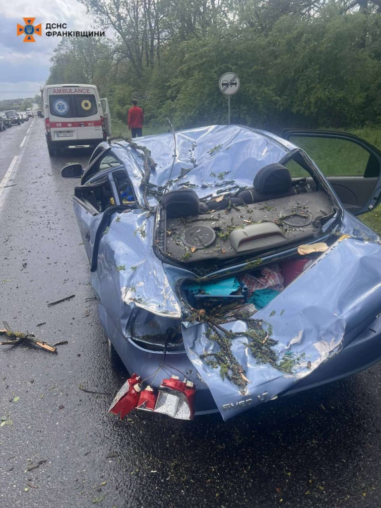Дерево впало на автомобіль на Рошатинщині