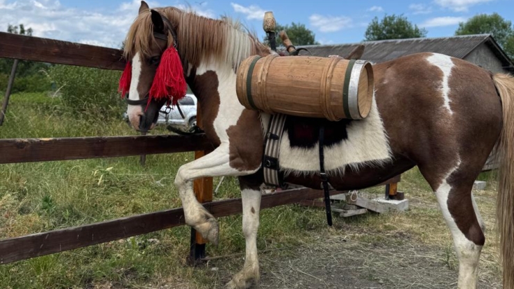 На Косівщині відкрили Центр гуцульського коня "Гуцулик"