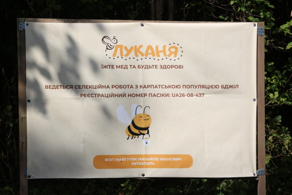 100 тисяч гранту від міськради: як коломийський бджоляр розвиває пасіку 2