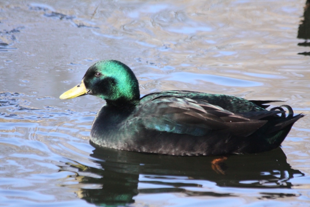 Екскурсії, виставки та книжкові зустрічі: куди піти у Франківську на вихідних 1-2 листопада 2
