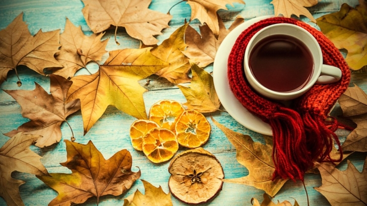 Вечорниці, фестивалі та акція на підтримку полонених: куди піти у Франківську на вихідних