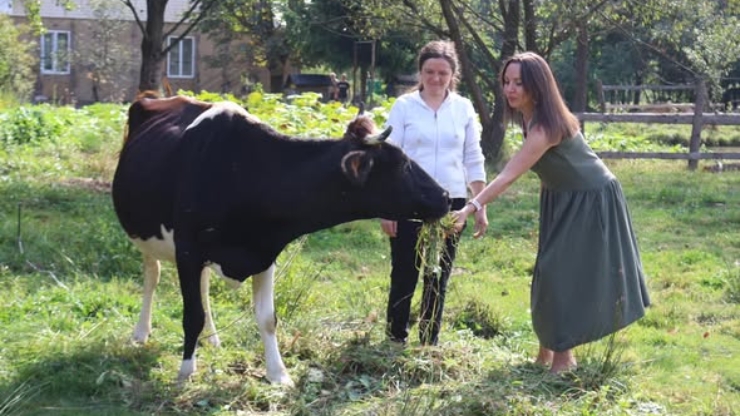 У Коломийській громаді виплатили понад 1,3 млн грн на утримання сільськогосподарських тварин