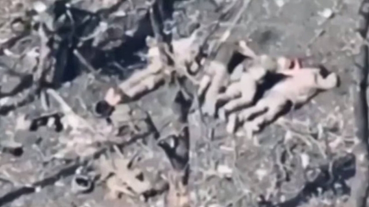 Біля Покровська окупанти розстріляли 5 полонених українських військових