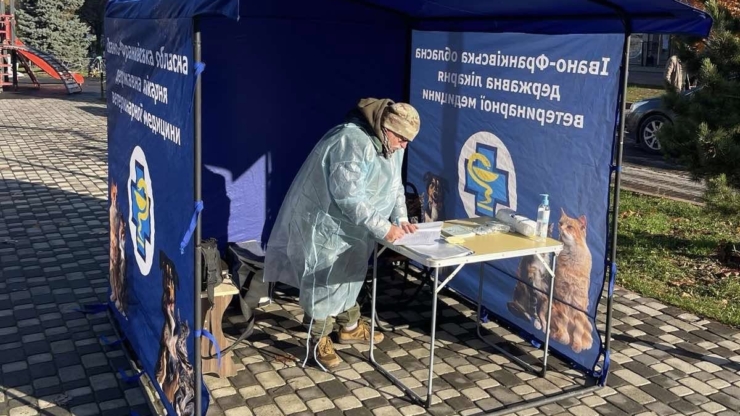 У Франківську безкоштовно вакцинуватимуть домашніх тварин від сказу