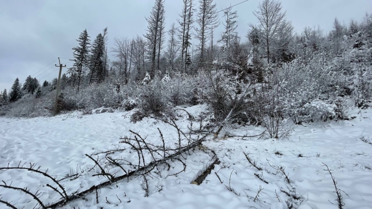 На Прикарпатті через негоду знеструмлені понад 40 населених пунктів