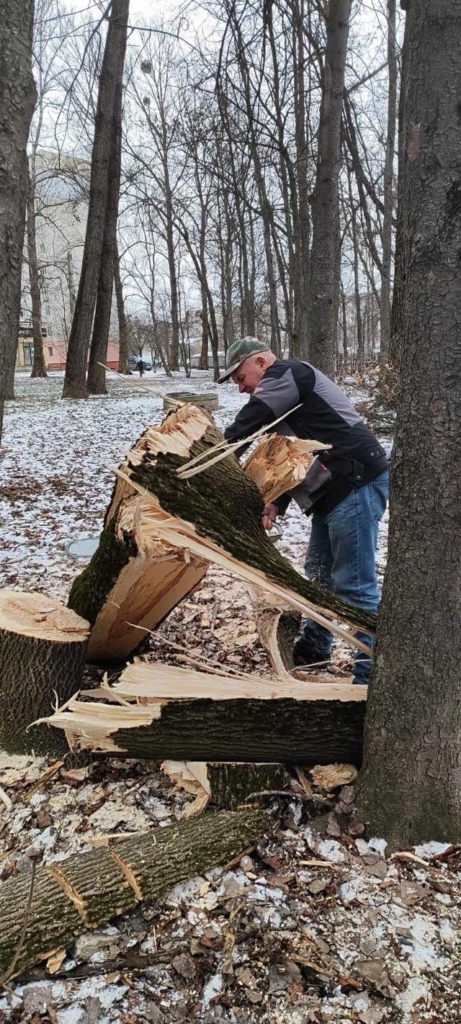 У Франківську сильний вітер повалив дерева на декількох вулицях. ФОТО 3