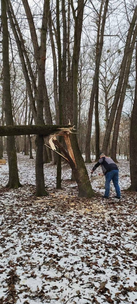 У Франківську сильний вітер повалив дерева на декількох вулицях. ФОТО 2