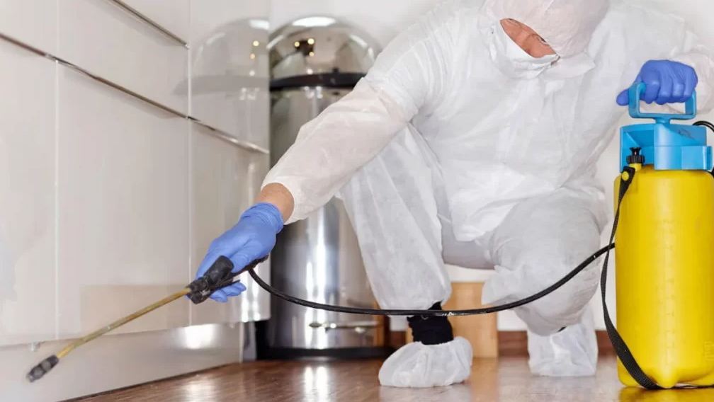 Покроковий план знищення тагрганів