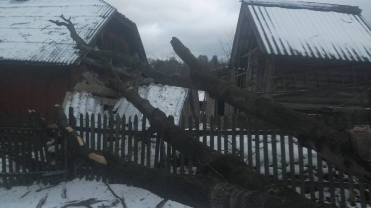 Через негоду на Прикарпатті частково знеструмлені 8 населених пунктів