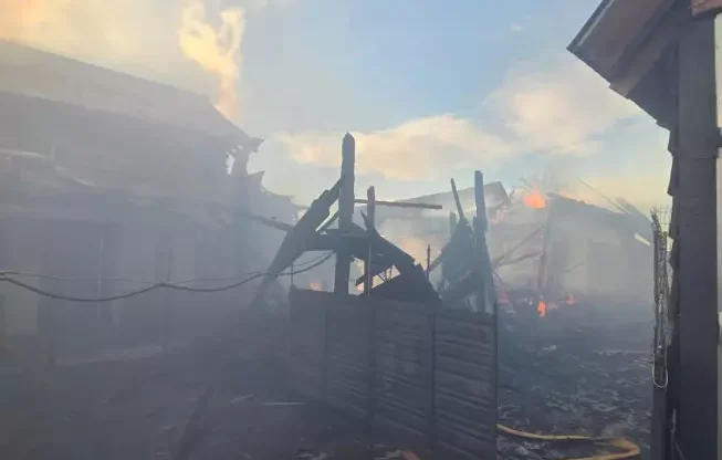 На Надвірнянщині у пожежі загинули три корови та свиня