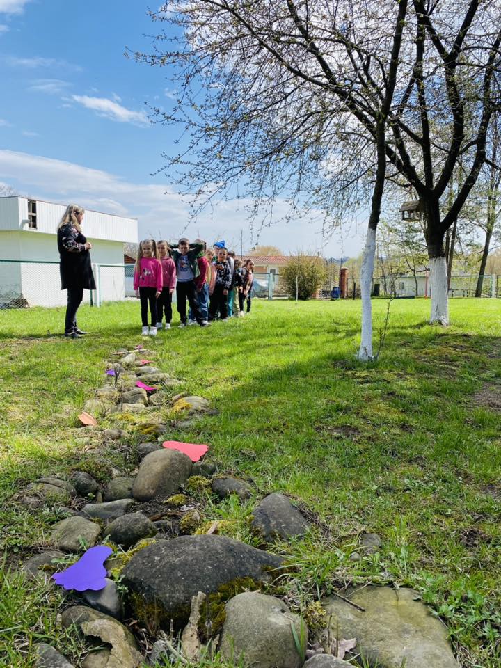 Хімчинський ліцей приєднався до програми "Цілющий ліс"