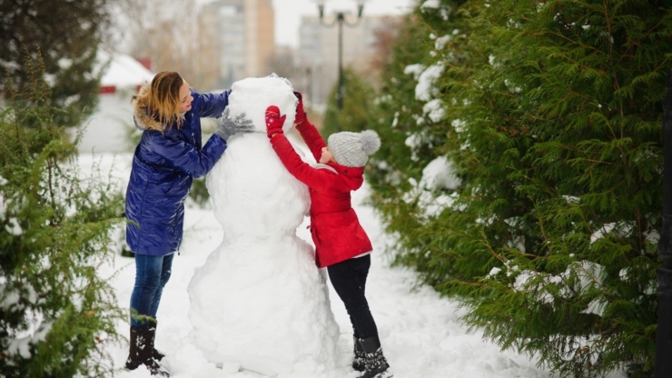 Кінопоказ і розмова про війну, такмед-курс та затишні читання: куди піти у Франківську 24-25 січня