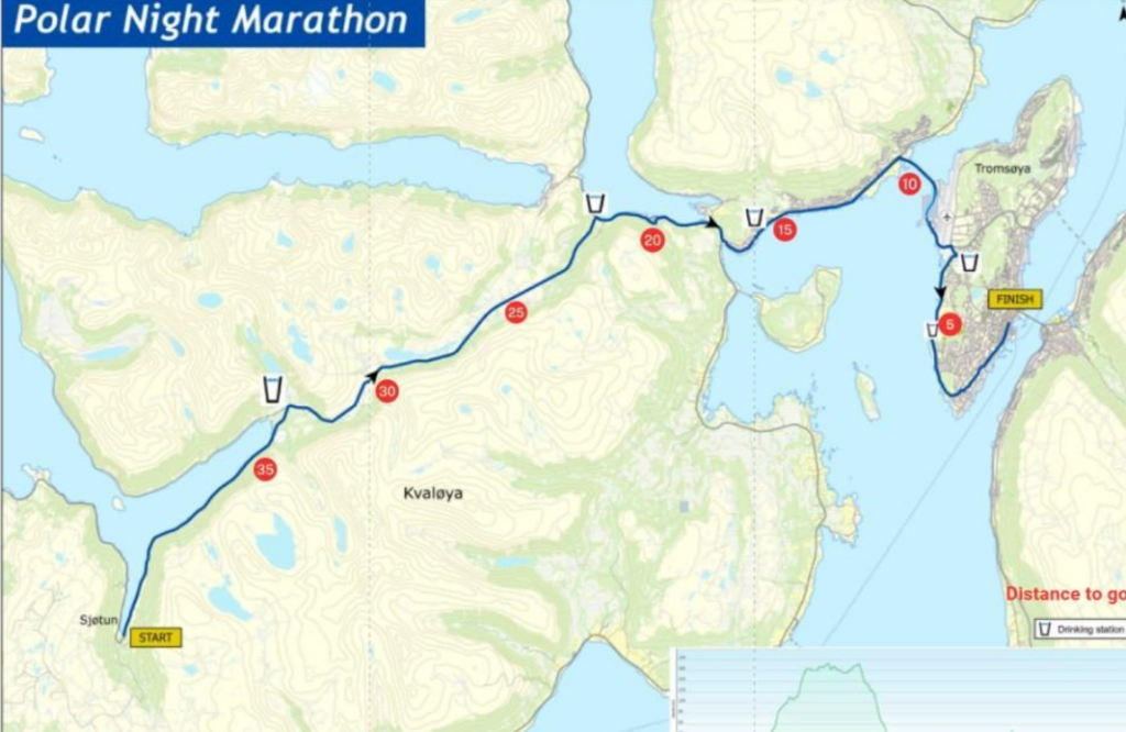 Єдина українка: франківка Ірина Кишакевич пробігла арктичний марафон і здобула друге місце 8