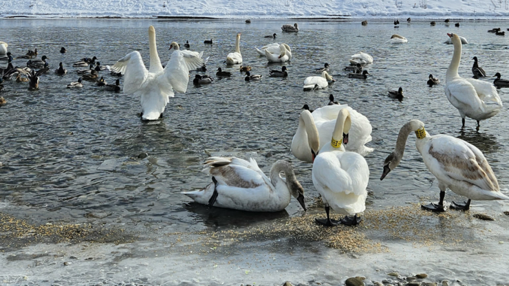 Куди піти у Франківську на вихідних: театральні прем’єри, підземелля ратуші та зіркові гості