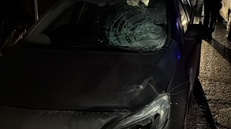 На Львівщині прикарпатка на смерть збила 83-річну жінку