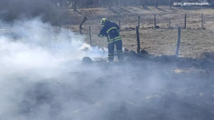 На Прикарпатті за добу загасили 60 пожеж сухої трави і спіймали сімох паліїв