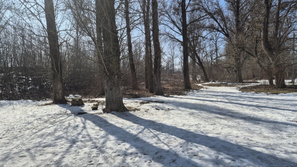 Франківці готуються до судів і протестів через забудову дамби у Пасічній 1