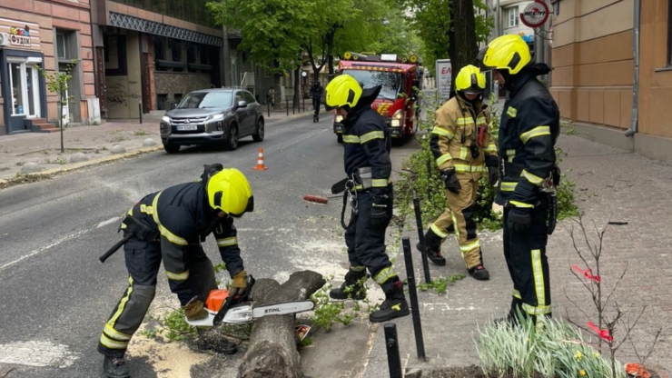 У п'ятьох населених пунктах Прикарпаття рятувальники прибирають з доріг дерева, які звалив шквальний вітер