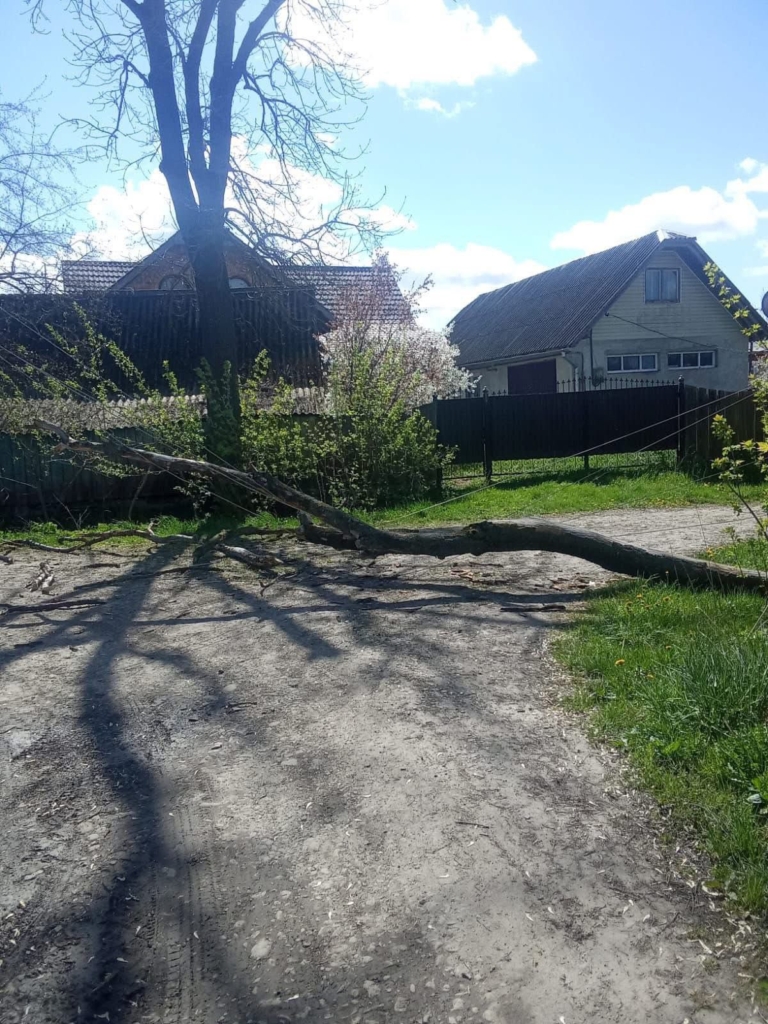 Шквальний вітер на Прикарпатті знеструмив 64 населені пункти, повалив 35 дерев, пошкодив дахи 2