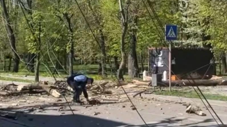 На Прикарпатті через сильний вітер фіксують аварійні вимкнення світла