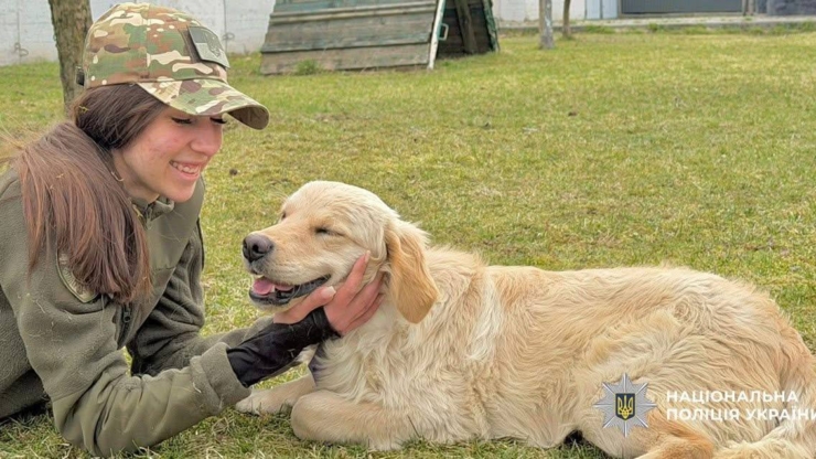 Шукають злочинців та вибухівку: як у прикарпатській поліції працюють службові собаки