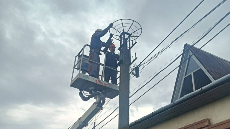 В ІФНТУНГ чекають на нових "мешканців кампусу" — там встановили опори для лелечих гнізд