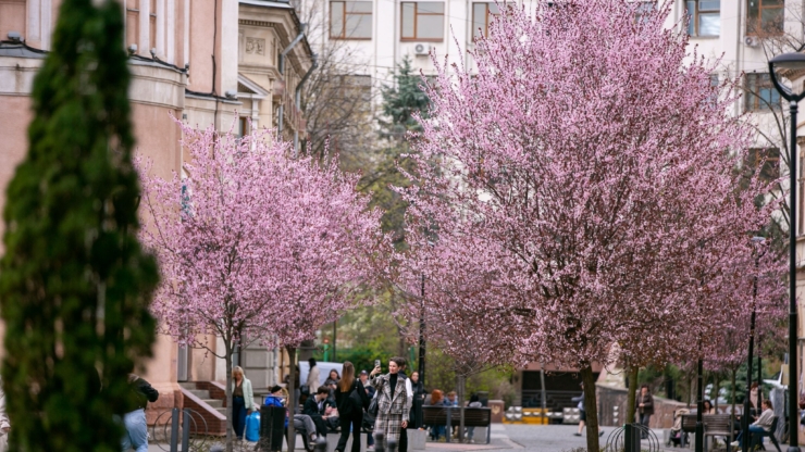 Мілітарі-гра «Азову», презентація «Греготу» та кіно про порятунок дронами: куди піти у Франківську 25-26 квітня