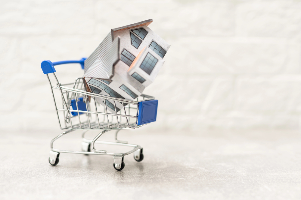 SEO для e-commerce: структура та оптимізація каталогу 2
