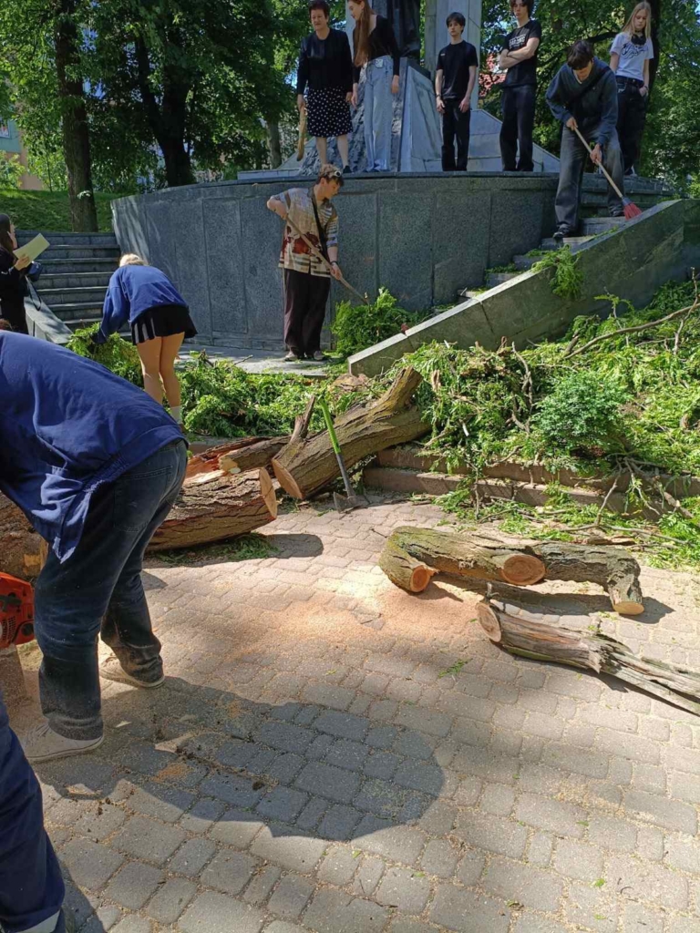 У Франківську вітер повалив 8 дерев, комунальники прибирають досі 2