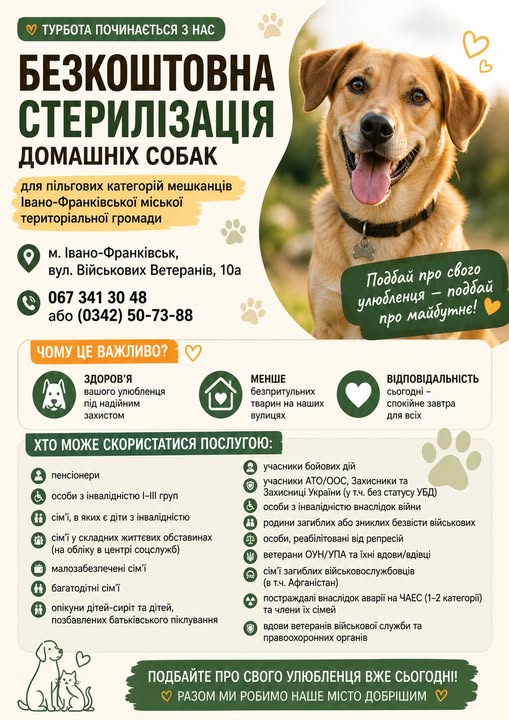 Франківці-пільговики можуть безкоштовно стерилізувати собак 1