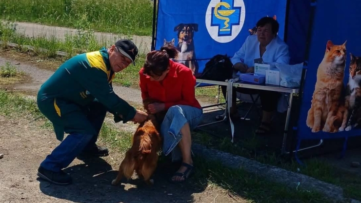 У Калуші безкоштовно вакцинуватимуть від сказу домашніх тварин