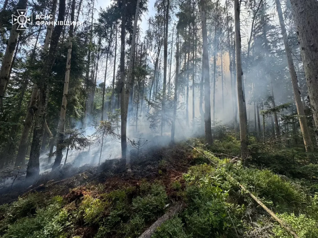 На Прикарпатті рятувальники третю добу намагаються загасити лісову пожежу 1