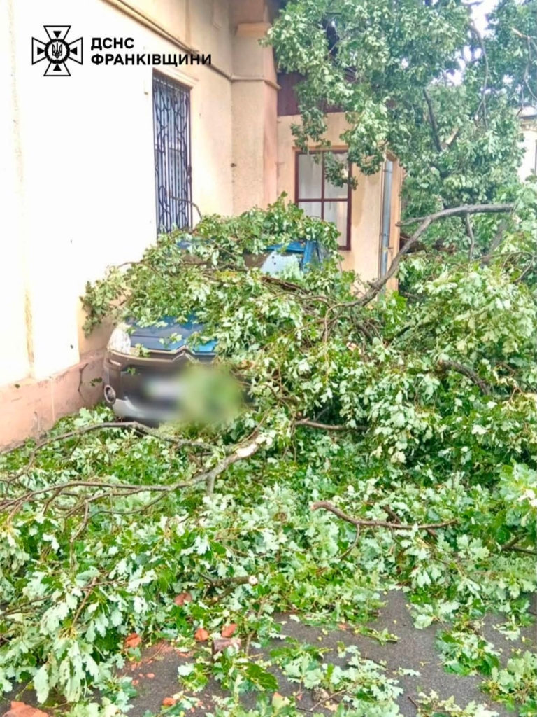 У Коломиї сильна негода повалила дерева, зірвала дахи та затопила вулиці. ФОТО 8