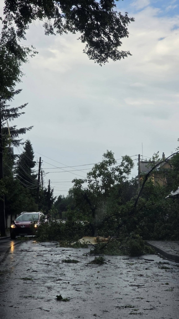 У Коломиї сильна негода повалила дерева, зірвала дахи та затопила вулиці (ФОТО) 3